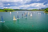 Karpfenpfeiferregatta mit 57 Booten Karpfenpfeiferregatta mit 57 Booten
